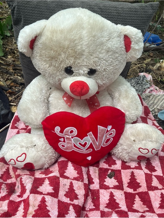 Love Other - Love Plush White Teddy Bear with Red Heart Pillow